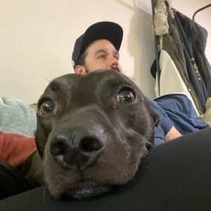 Meet your Posher, Alan